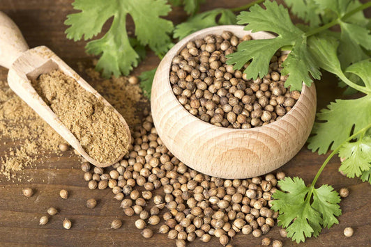 Unlock Earthy Aromas: The Versatile Magic of Coriander Seeds