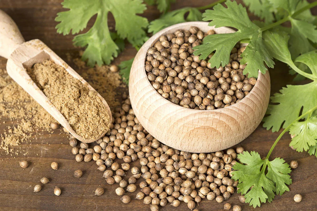 Unlock Earthy Aromas: The Versatile Magic of Coriander Seeds